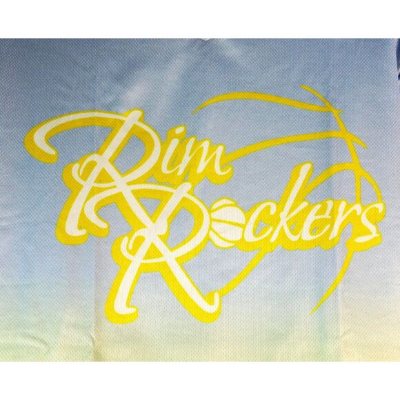 Basketball T Shirt Rim Rockers Ombre Sz. M Healy Sportswear Long Sleeves - Picture 4 of 9